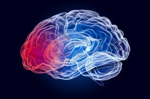 scan showing brain injury