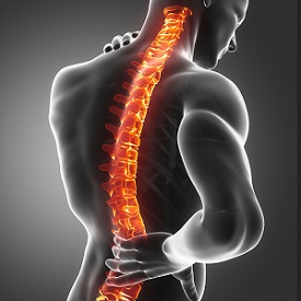 Your spinal cord is vulnerable in a Kentucky car accident